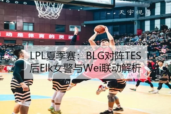 LPL夏季赛：BLG对阵TES后Elk女警与Wei联动解析